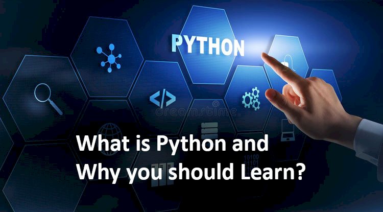 What Is Python And Why You Should Learn Web Asha