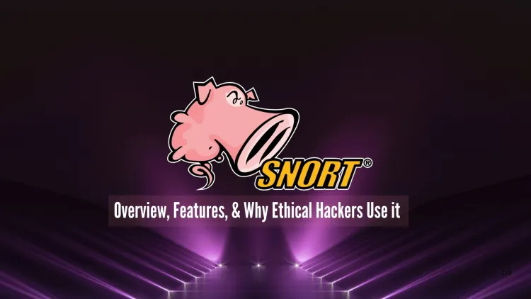 Snort | Overview, Features, and Why Ethical Hackers Use It