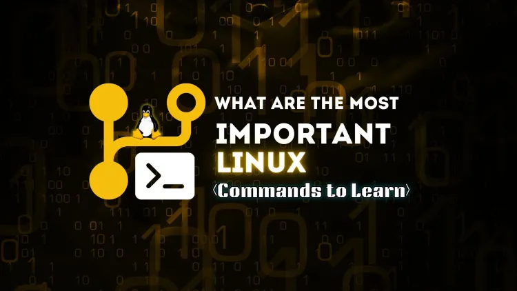 Which are the Most Important Linux Commands ?  A Complete Guide