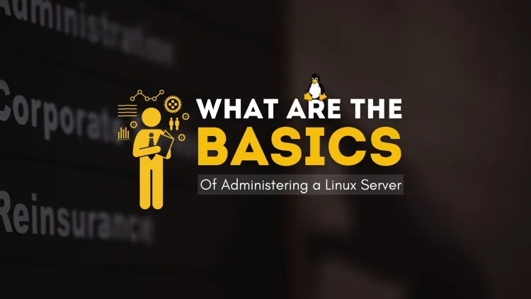 How to Administer a Linux Server Like a Pro?A Beginner's Guide