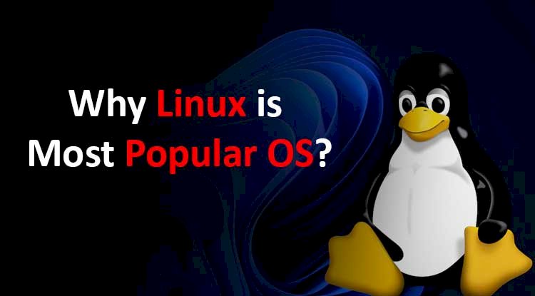 what-is-linux-and-why-it-is-most-popular-os-web-asha